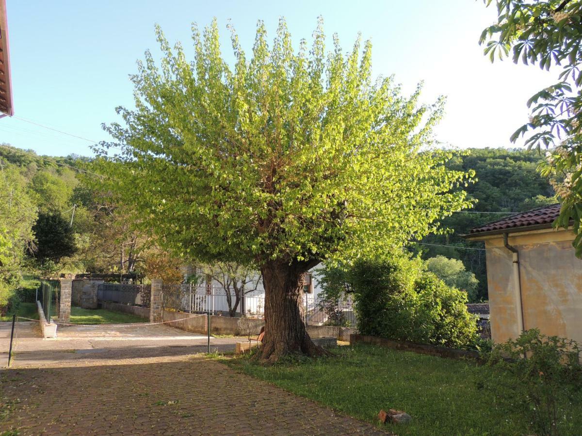La Casa Di Nonna Bruna Muggia Exterior photo